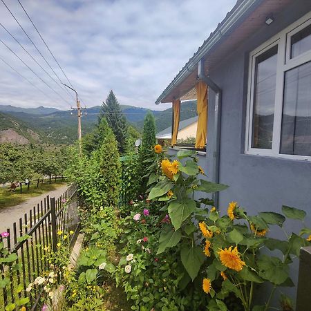Sunny Lodge דיליג'אן מראה חיצוני תמונה