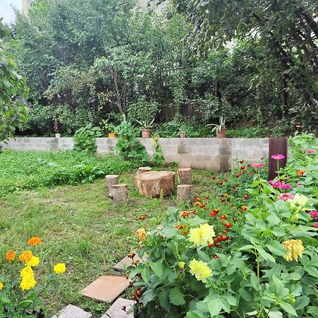 Sunny Lodge דיליג'אן מראה חיצוני תמונה
