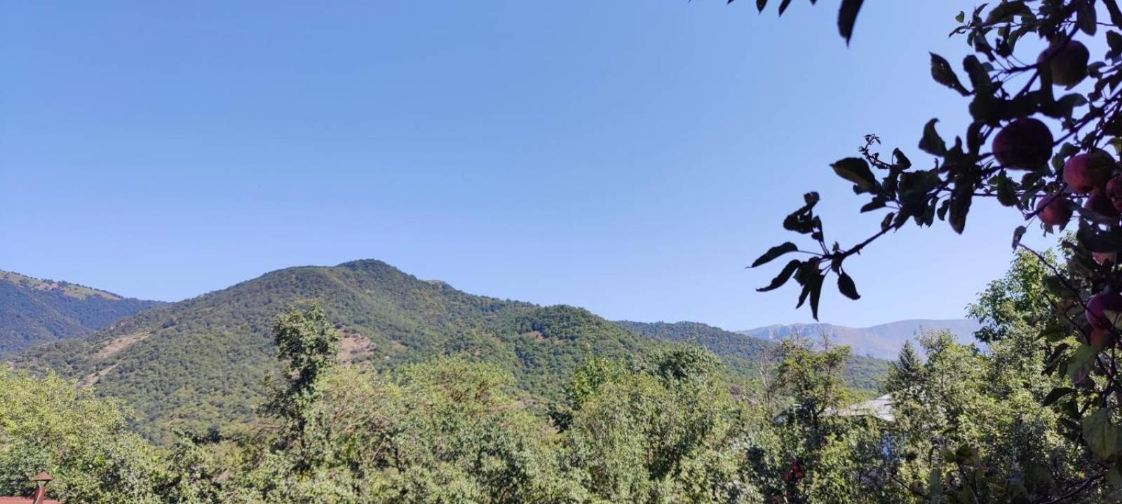 Sunny Lodge דיליג'אן מראה חיצוני תמונה