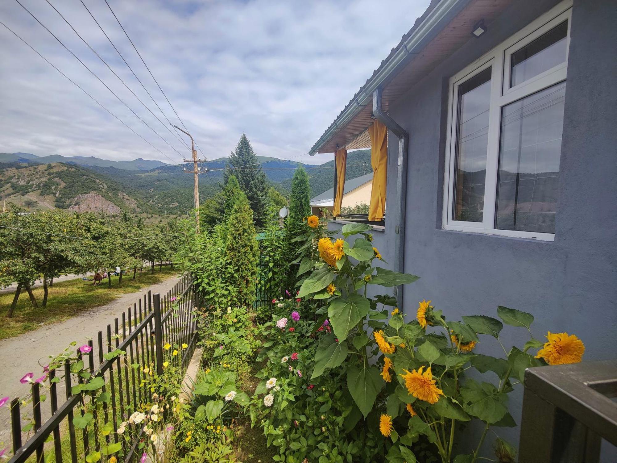 Sunny Lodge דיליג'אן מראה חיצוני תמונה