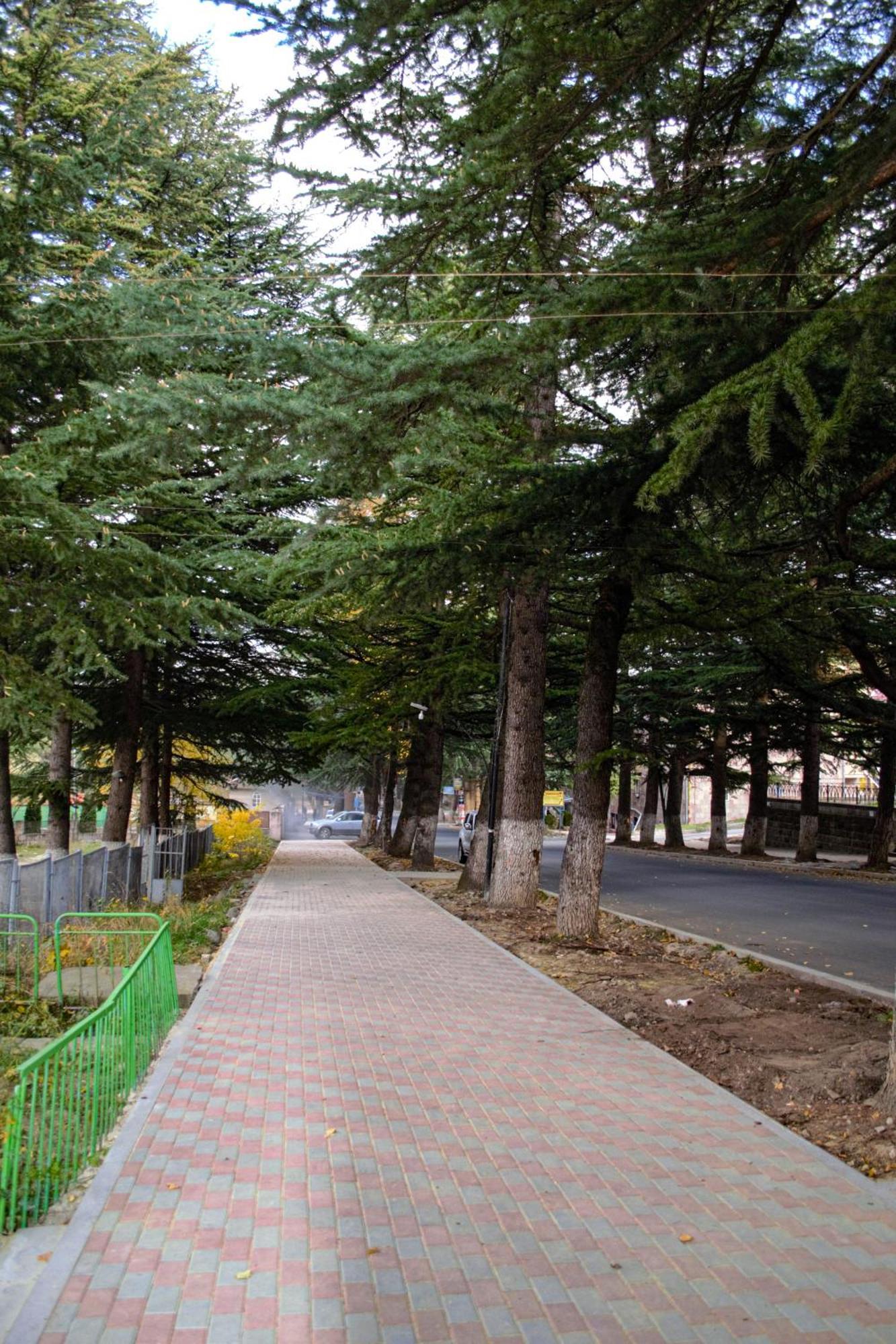 Sunny Lodge דיליג'אן מראה חיצוני תמונה