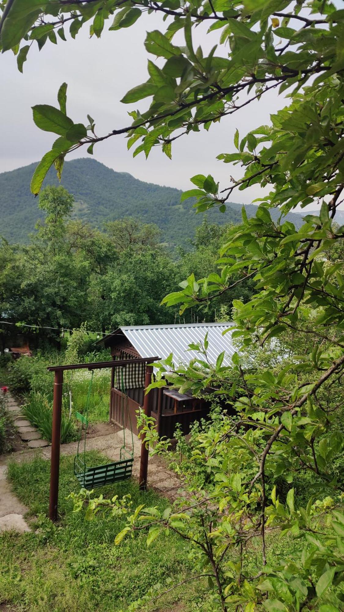 Sunny Lodge דיליג'אן מראה חיצוני תמונה