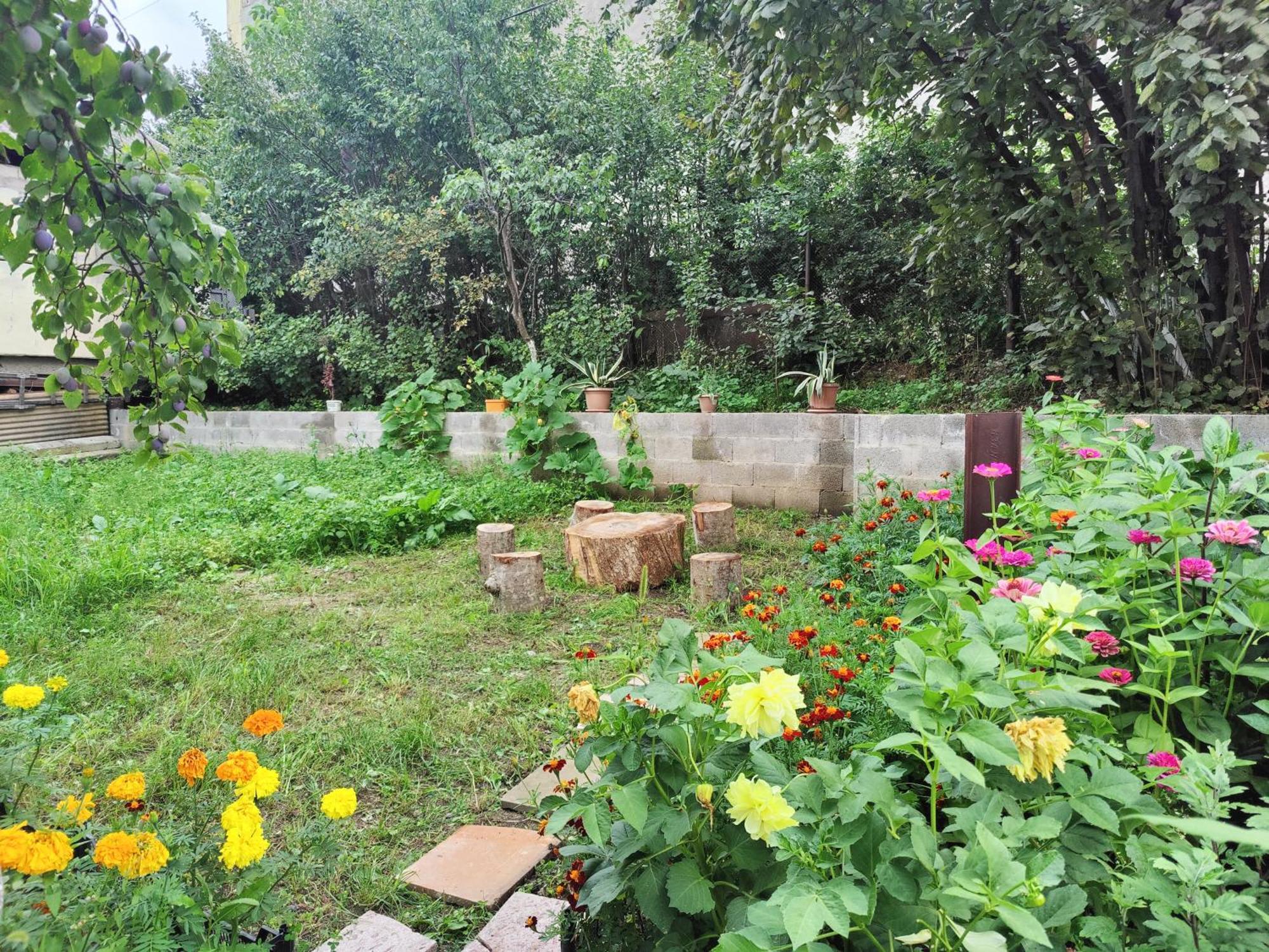 Sunny Lodge דיליג'אן מראה חיצוני תמונה